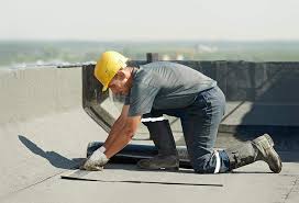 Best Roof Insulation Installation  in Christopher, IL